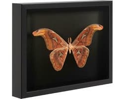 ACAZA Wissellijst - 3D Fotolijst - Diepe Fotolijst - 30x40 cm - MDF Hout - Zwart - 3D Fotolijst voor Objecten - Box Frame